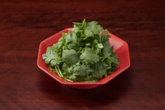 Coriander-Only Salad