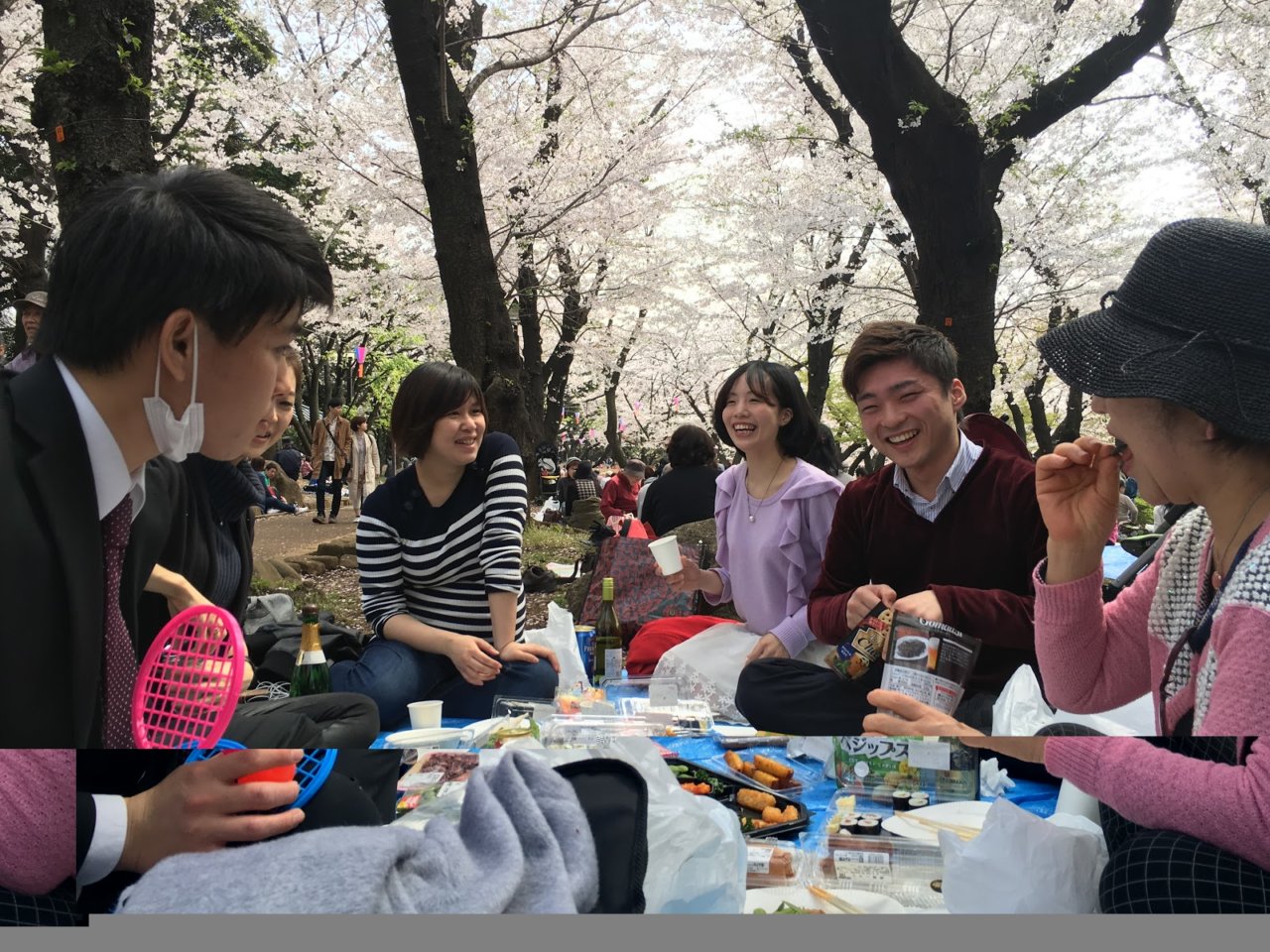 お店近くで新しい花見スタイル始まるの画像