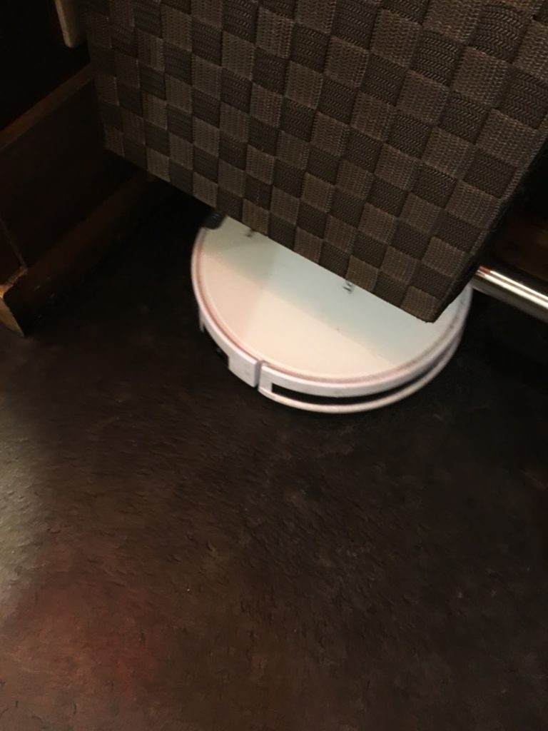 まん丸の可愛いやつ