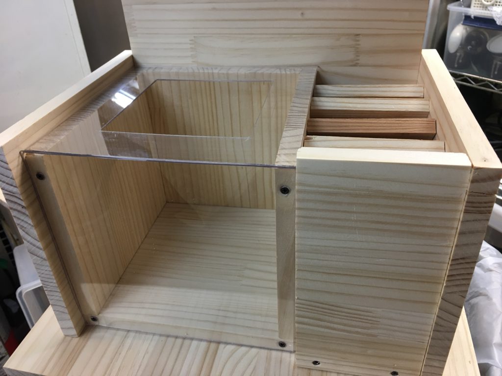 これが私の本業です