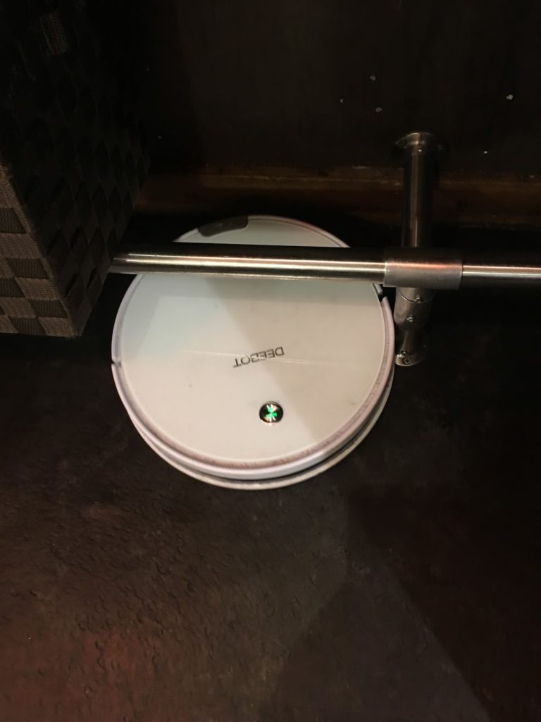 まん丸の可愛いやつ