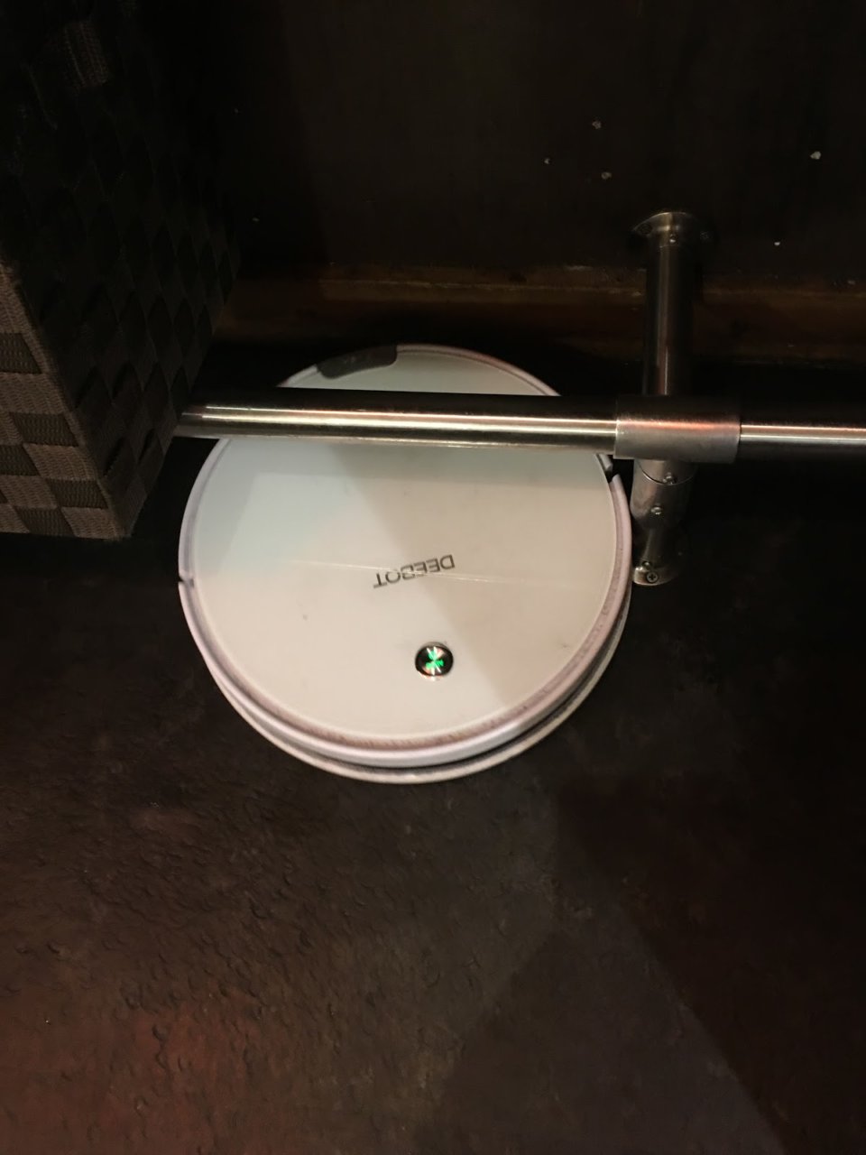 まん丸の可愛いやつの画像